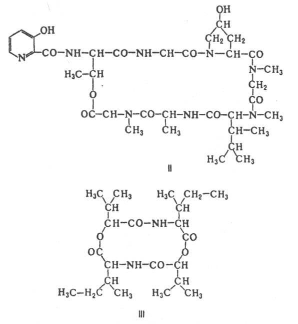 https://www.pora.ru/image/encyclopedia/1/6/7/6167.jpeg