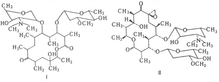 https://www.pora.ru/image/encyclopedia/1/7/0/8170.jpeg