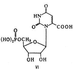 https://www.pora.ru/image/encyclopedia/1/7/1/10171.jpeg