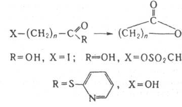 https://www.pora.ru/image/encyclopedia/1/7/2/8172.jpeg