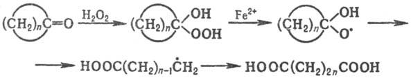 https://www.pora.ru/image/encyclopedia/1/7/7/12177.jpeg