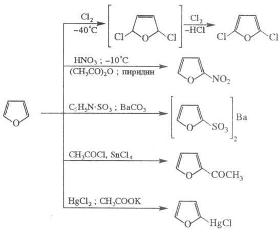 https://www.pora.ru/image/encyclopedia/1/9/6/16196.jpeg