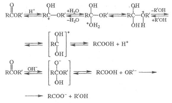 https://www.pora.ru/image/encyclopedia/2/0/5/19205.jpeg