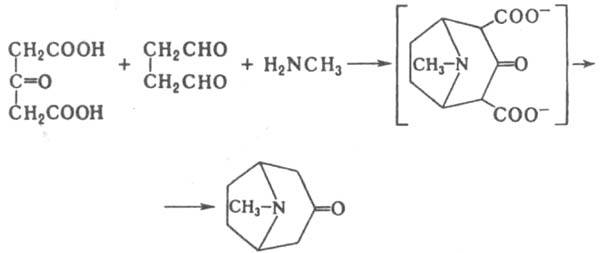 https://www.pora.ru/image/encyclopedia/2/0/9/8209.jpeg