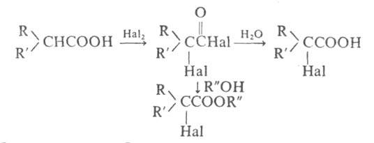 https://www.pora.ru/image/encyclopedia/2/1/4/5214.jpeg