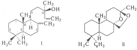 https://www.pora.ru/image/encyclopedia/2/1/4/8214.jpeg