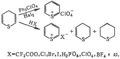 https://www.pora.ru/image/encyclopedia/2/2/1/14221.jpeg