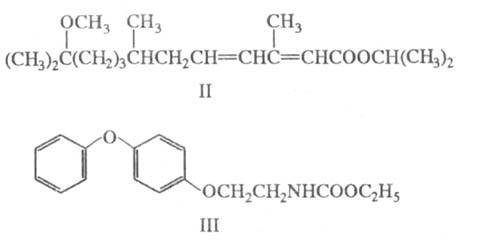 https://www.pora.ru/image/encyclopedia/2/2/5/19225.jpeg