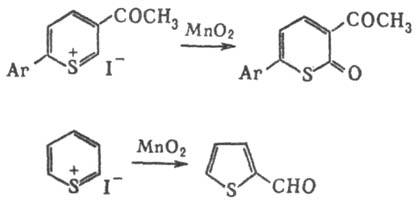 https://www.pora.ru/image/encyclopedia/2/2/8/14228.jpeg