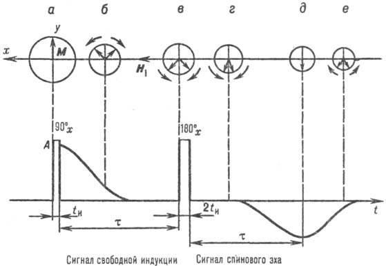 https://www.pora.ru/image/encyclopedia/2/3/3/13233.jpeg