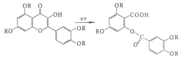 https://www.pora.ru/image/encyclopedia/2/4/4/3244.jpeg