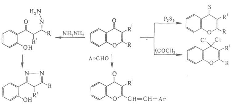 https://www.pora.ru/image/encyclopedia/2/4/6/3246.jpeg