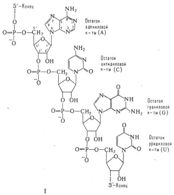 https://www.pora.ru/image/encyclopedia/2/5/7/8257.jpeg