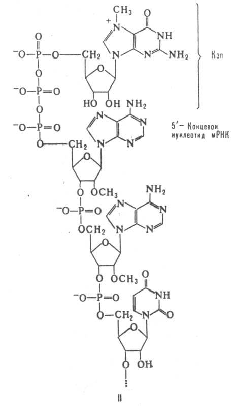 https://www.pora.ru/image/encyclopedia/2/5/8/8258.jpeg