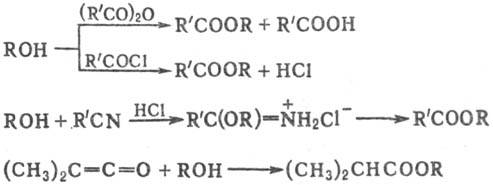 https://www.pora.ru/image/encyclopedia/2/5/9/13259.jpeg