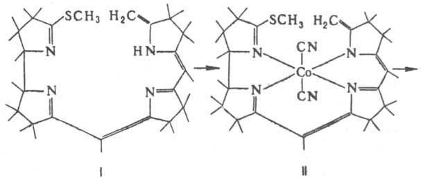 https://www.pora.ru/image/encyclopedia/2/5/9/8259.jpeg