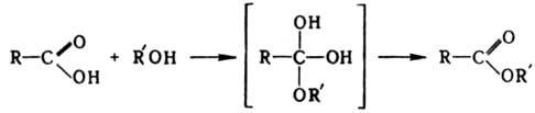 https://www.pora.ru/image/encyclopedia/2/6/1/7261.jpeg