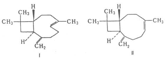 https://www.pora.ru/image/encyclopedia/2/9/0/7290.jpeg