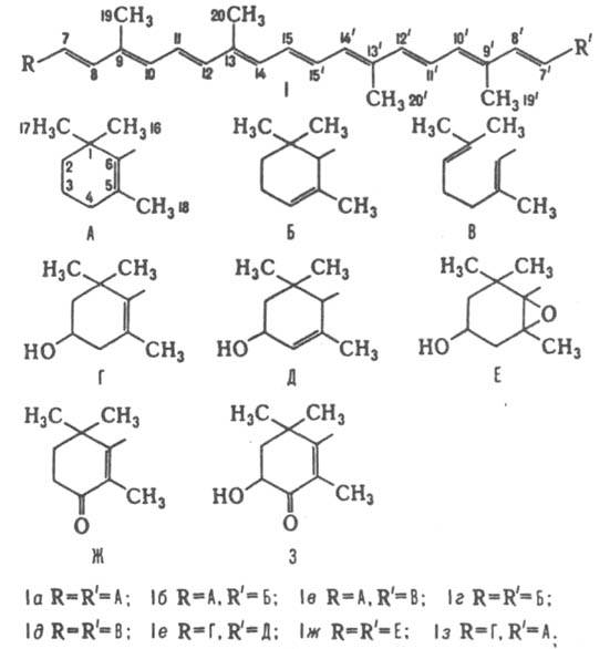 https://www.pora.ru/image/encyclopedia/2/9/4/7294.jpeg