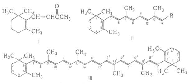 https://www.pora.ru/image/encyclopedia/2/9/5/4295.jpeg