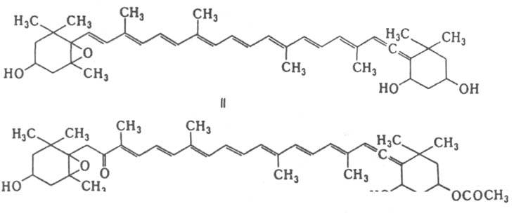 https://www.pora.ru/image/encyclopedia/2/9/6/7296.jpeg