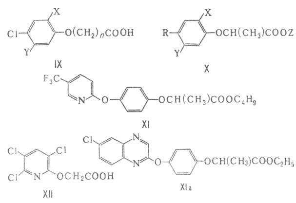 https://www.pora.ru/image/encyclopedia/2/9/7/5297.jpeg