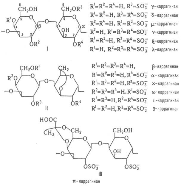 https://www.pora.ru/image/encyclopedia/2/9/8/7298.jpeg