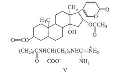 https://www.pora.ru/image/encyclopedia/3/0/0/19300.jpeg