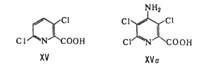 https://www.pora.ru/image/encyclopedia/3/0/1/5301.jpeg