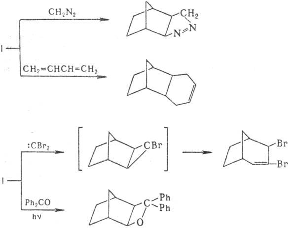 https://www.pora.ru/image/encyclopedia/3/0/1/9301.jpeg