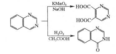 https://www.pora.ru/image/encyclopedia/3/0/2/16302.jpeg