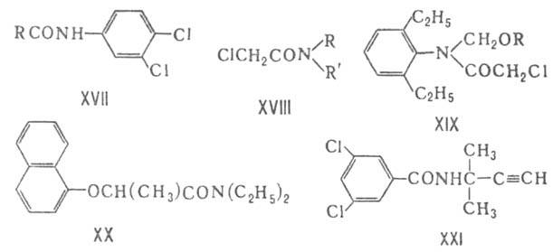 https://www.pora.ru/image/encyclopedia/3/0/3/5303.jpeg