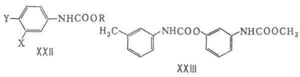 https://www.pora.ru/image/encyclopedia/3/0/4/5304.jpeg