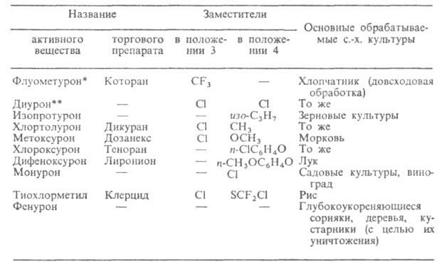 https://www.pora.ru/image/encyclopedia/3/0/7/5307.jpeg