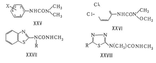 https://www.pora.ru/image/encyclopedia/3/0/8/5308.jpeg