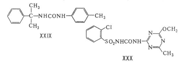 https://www.pora.ru/image/encyclopedia/3/0/9/5309.jpeg