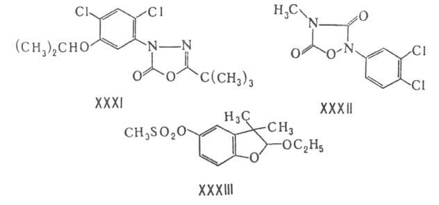 https://www.pora.ru/image/encyclopedia/3/1/0/5310.jpeg