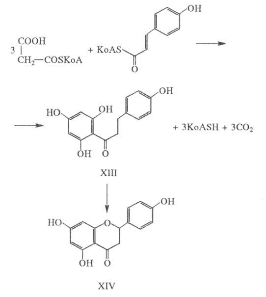 https://www.pora.ru/image/encyclopedia/3/1/2/15312.jpeg