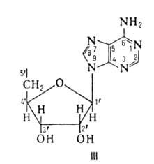 https://www.pora.ru/image/encyclopedia/3/1/2/4312.jpeg