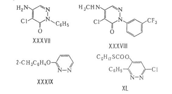 https://www.pora.ru/image/encyclopedia/3/1/3/5313.jpeg