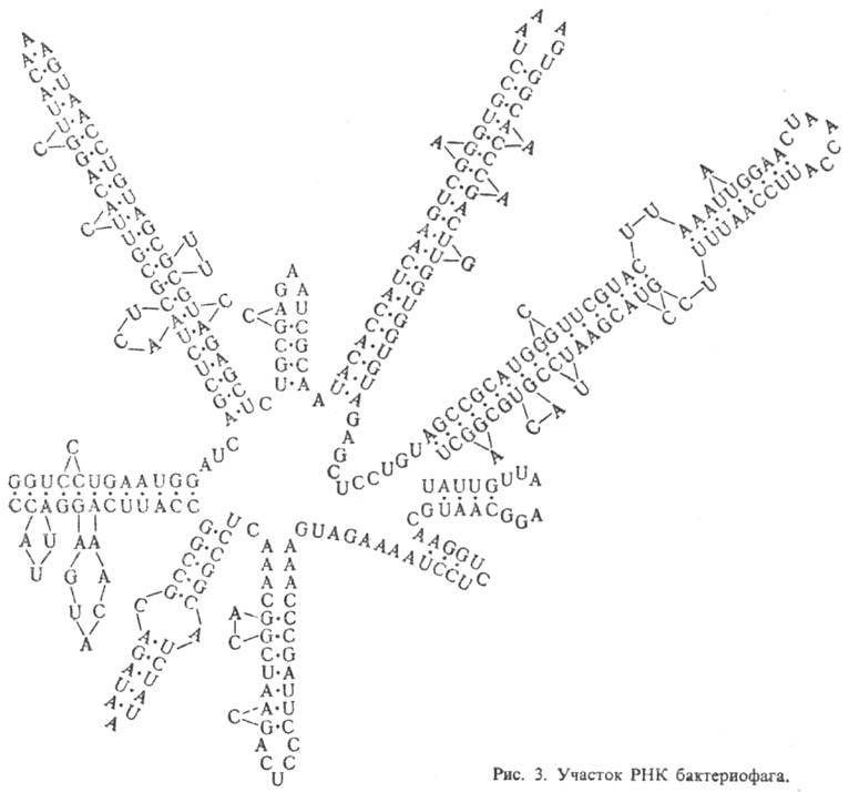 https://www.pora.ru/image/encyclopedia/3/1/5/9315.jpeg