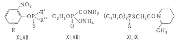 https://www.pora.ru/image/encyclopedia/3/1/7/5317.jpeg