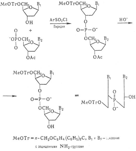 https://www.pora.ru/image/encyclopedia/3/1/7/9317.jpeg