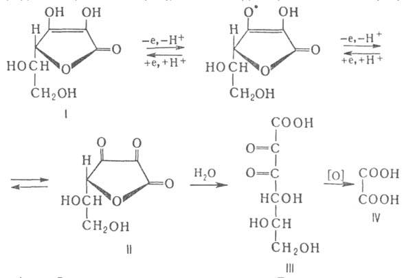 https://www.pora.ru/image/encyclopedia/3/1/8/4318.jpeg