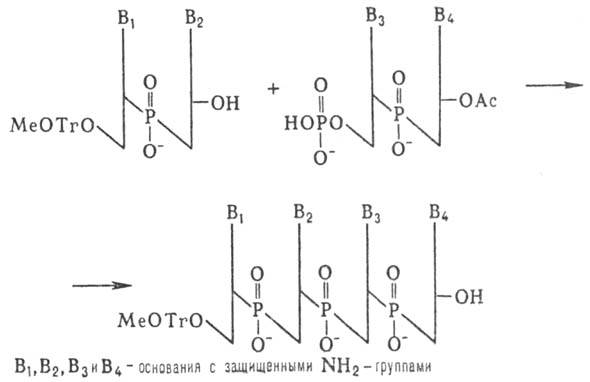 https://www.pora.ru/image/encyclopedia/3/1/8/9318.jpeg