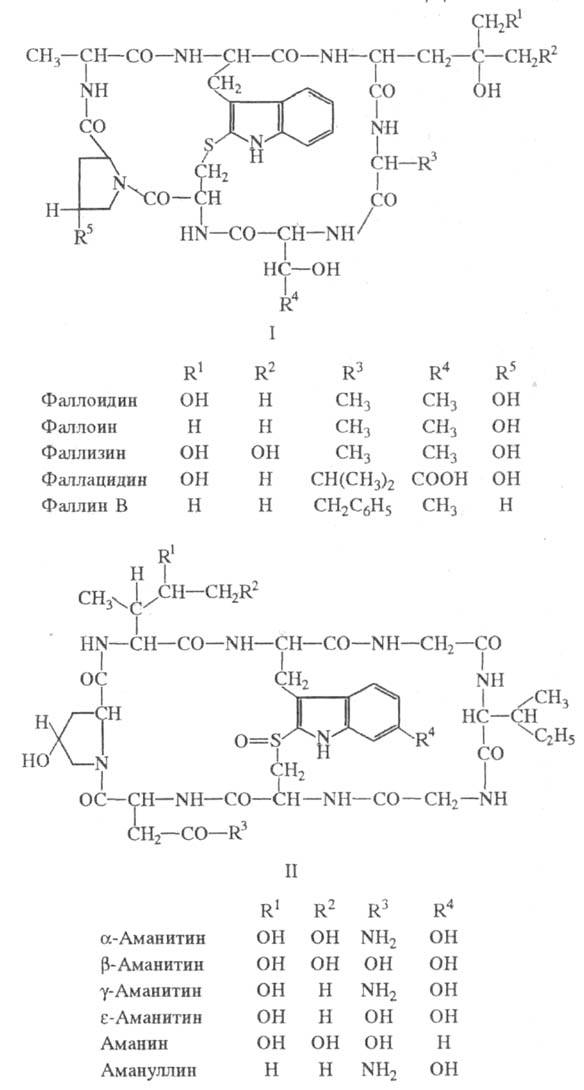 https://www.pora.ru/image/encyclopedia/3/1/9/19319.jpeg