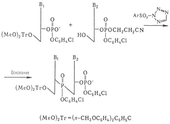 https://www.pora.ru/image/encyclopedia/3/1/9/9319.jpeg