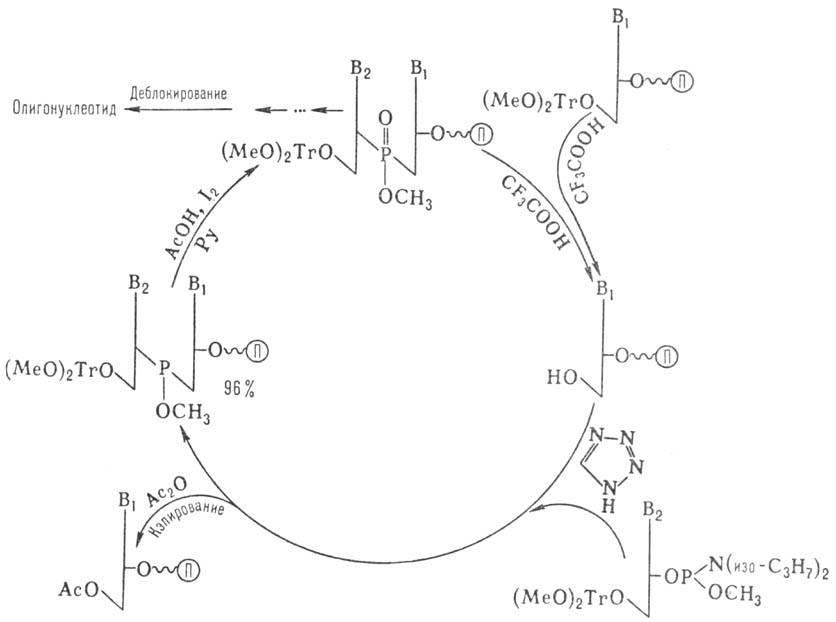 https://www.pora.ru/image/encyclopedia/3/2/0/9320.jpeg