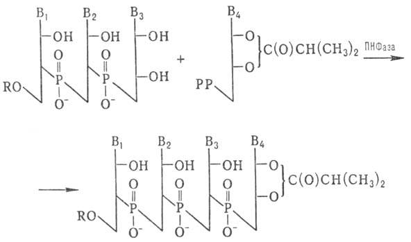 https://www.pora.ru/image/encyclopedia/3/2/3/9323.jpeg