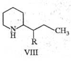 https://www.pora.ru/image/encyclopedia/3/2/6/19326.jpeg